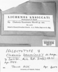 Image Associated With the Occurence